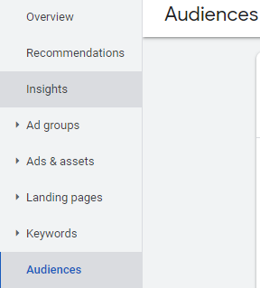 Google Ads audience feature.